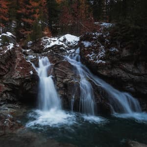 Canon Me | Just Relax, Daily Yoga Practice - Healing Zone