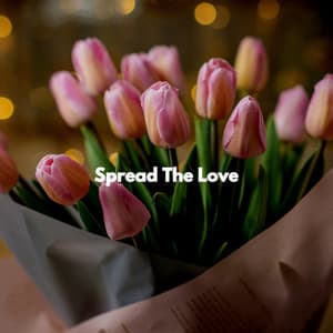 Spread The Love - Dinner Background Music