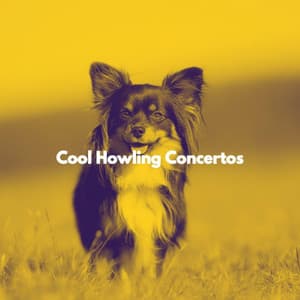 Cool Howling Concertos - Relajado Musica Relajante para Perros