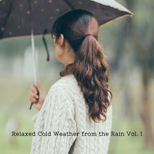 Relaxed Cold Weather from the Rain Vol. 1 - Calm Music