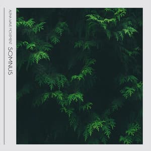 Somnus - Alpha Wave Movement