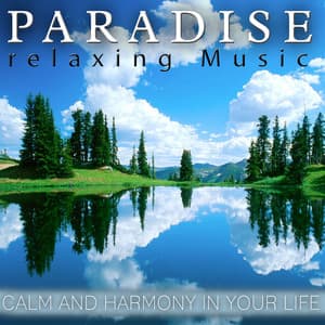 Calm and Harmony in Your Life, Paradise Relaxing Music - Angels Of Skin