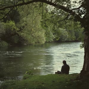 Música De Río Para Un Ambiente Natural - Descanso interior