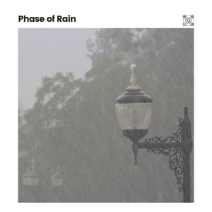 Phase of Rain - Natsound
