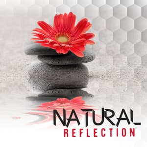 Natural Reflection - Ambiance nature