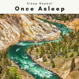 4 Once Asleep - Sleep Repeat