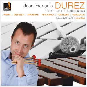 The Art of the Percussions - Jean François Durez
