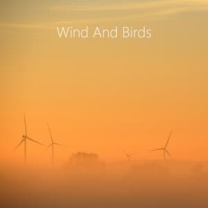 Wind and Birds Relax Sound. World Nature Music for Sleep, Relax and Reiki Zen Meditation. - Reiki Music to Sleep