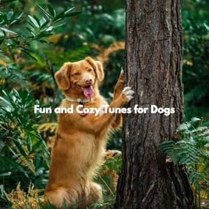 Fun and Cozy Tunes for Dogs - Saturday Morning Relaxation Vibes
