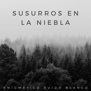 Susurros En La Niebla: Enigmático Ruido Blanco - Ruido blanco relajante :)