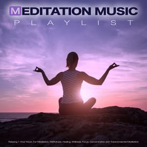 Meditation Music Playlist: Relaxing 1 Hour Music For Meditation, Mindfulness, Healing, Wellness. Focus, Concentration and Transcendental Meditation - Meditation Music