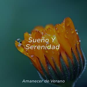 Sueño Y Serenidad - Sons da Natureza