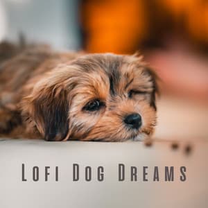 Lofi Dog Dreams: Chill Music for Peaceful Pups - Beats De Rap