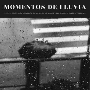 Momentos De Lluvia: La Selección Más Relajante De Sonidos De Lluvia Para Concentrarse Y Trabajar - Música de Concentración