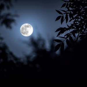 Tranquil Nightfall: Soft Melodies for Peaceful Nights - 432 Directions