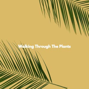 Walking Through The Plants - University Jazz Cafe