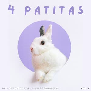 4 Patitas: Bellos Sonidos De Lluvias Tranquilas Vol. 1 - Atmósferas de Lluvia