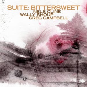 Suite: Bittersweet - Nels Cline/Wally Shoup/Greg Campbell