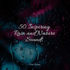 50 Inspiring Rain and Nature Sounds - Rain Sounds XLE Library