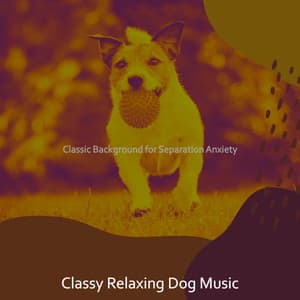 Classic Background for Separation Anxiety - Classy Relaxing Dog Music