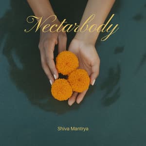 Nectarbody: Echoes from the Inner Ghat - Shiva Mantrya