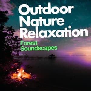 Outdoor Nature Relaxation - Forest Soundscapes