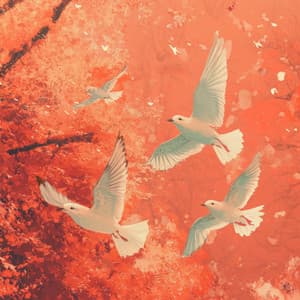 鳥の心の領域 - Birds In The Morning