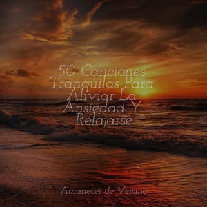 50 Canciones Tranquilas Para Aliviar La Ansiedad Y Relajarse - Zen Music Garden