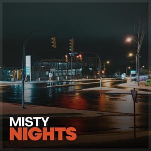 Misty Nights - Rain Meditations