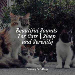 Beautiful Sounds For Cats | Sleep and Serenity - Cat Music Dreams