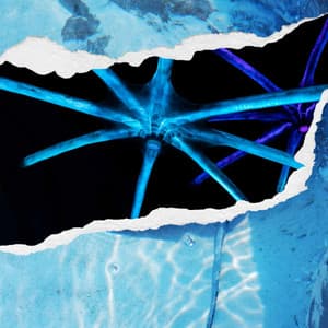 Feelings for Quiet Day Moods - Bebop Jazz Radio