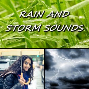 Rain and Storm Sounds - Rain Storm Sounds