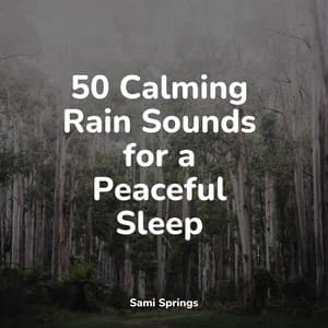 50 Calming Rain Sounds for a Peaceful Sleep - Academia de Meditação Buddha