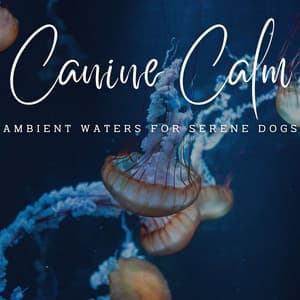 Canine Calm: Ambient Waters for Serene Dogs - Noise of Water