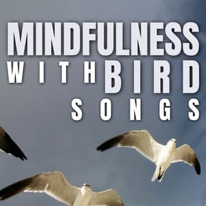 Mindfulness with Bird Songs - Bird Songs