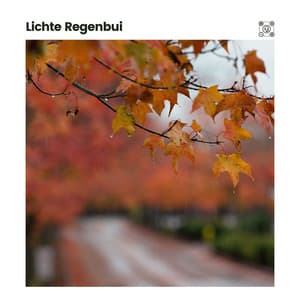 Lichte Regenbui - Geluiden van de Regen