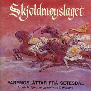 Skjoldmøyslaget - Torleiv H. Bjørgum