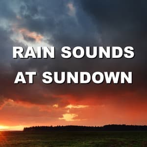 Rain Sounds At Sundown - Wind and Rain Sounds