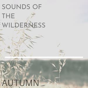 Autumn - Sound of the Wilderness