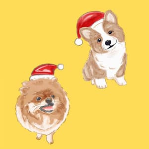 Echoes of Upbeat Pups - Dog Music Therapy