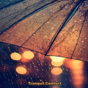 Tranquil Comfort - DiDi One Beats