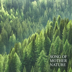 Song of Mother Nature: Soothing Sounds to Slow Down and Learn to Relax - Stress Relief Calm Oasis