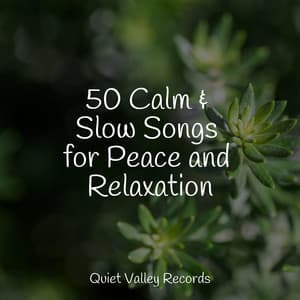 50 Calm & Slow Songs for Peace and Relaxation - Naturaleza Relajacion