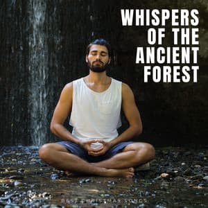 Whispers of the Ancient Forest - Meditation Masters