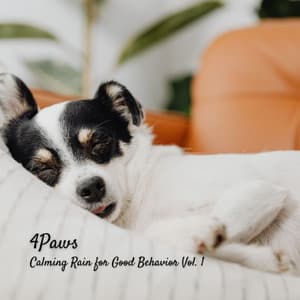 4Paws: Calming Rain for Good Behavior Vol. 1 - Natures DNA