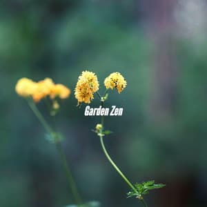 Garden Zen - Bossa Nova Cafe Music