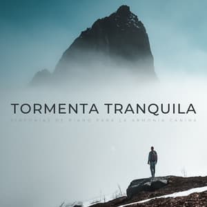 Tormenta Tranquila: Sinfonías De Piano Para La Armonía Canina - Relajante Universo de Música de Piano