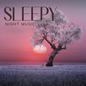 Sleepy Night Music: Pillow Melodies, Zen Sleep, Sleeping Nature, Melatonin Release - Deep Sleep Maestro