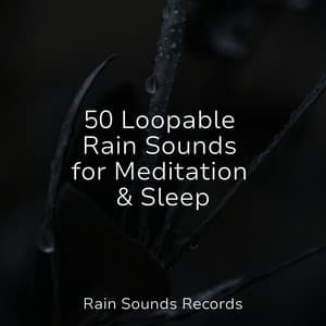 50 Loopable Rain Sounds for Meditation & Sleep - Yoga