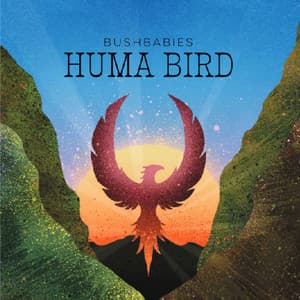 Bushbabies : Huma Bird - Niclas Knudsen
